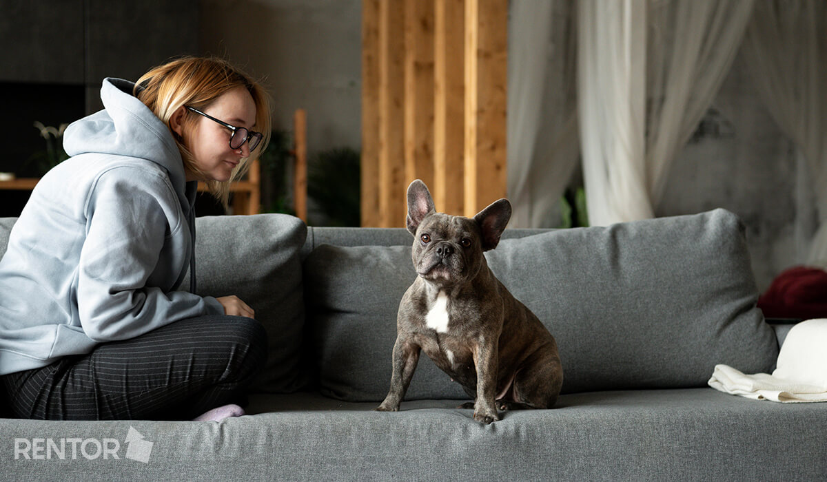 Apartment Maintenance Tips When You Have Pets