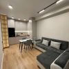 46m² Apartment for Rent in Tbilisi Didi digomi
