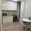 45m² Apartment for Rent in Tbilisi Saburtalo