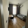 45m² Apartment for Rent in Tbilisi Mtatsminda