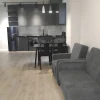 70m² Apartment for Rent in Tbilisi Saburtalo